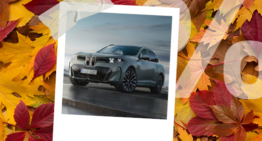 Graugrüner BMW X5 in sportlicher Frontansicht, präsentiert in einem Polaroid-Rahmen mit herbstlichem Laub und Prozentzeichen